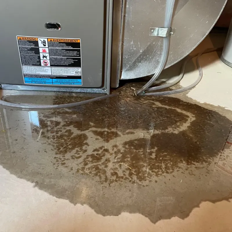 Appliance Leak Cleanup in Holland, MI