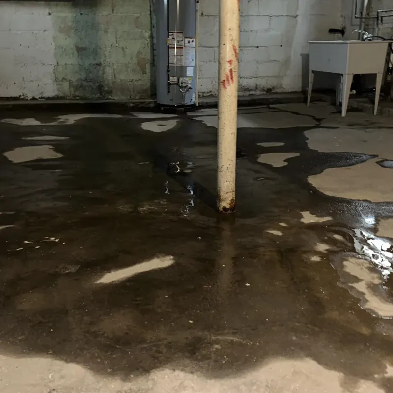 Emergency Water Extraction And Removal in Holland, MI
